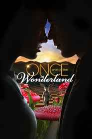 Once Upon a Time in Wonderland izle
