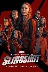 Marvel's Agents of S.H.I.E.L.D.: Slingshot izle