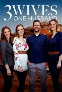 Three Wives, One Husband izle
