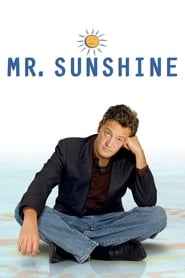Mr. Sunshine (2011) izle