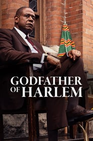 Godfather of Harlem izle