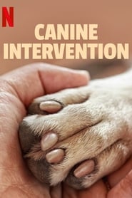 Canine Intervention izle