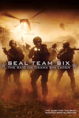 Seal Team Six: The Raid on Osama Bin Laden film izle | Dizigom