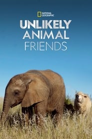Unlikely Animal Friends izle