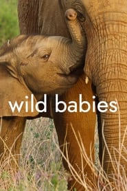 Wild Babies izle